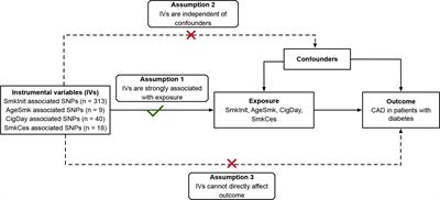 Smoking and coronary artery disease risk in patients with diabetes: A Mendelian randomization study